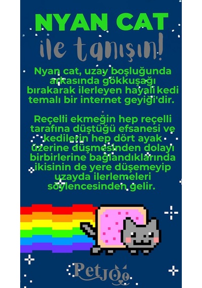 Petjoo 2.Nyan Cat Gri-Yeşil Qr'lı Kedi Künyesi