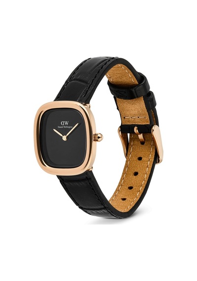 Daniel Wellington Dw00600881 Kadın Kol Saati Diğer