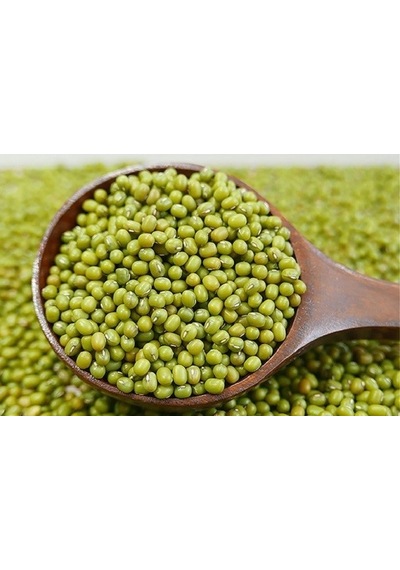 Fasulye Mung Bean Tohumu Fasulye Tohumu 15 Tohum + Tohum