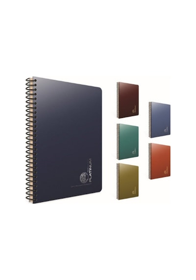 Gıpta Platınum 5693 Spiralli Pp Kapak Defter 17X24 Cm 100 Yaprak Kareli