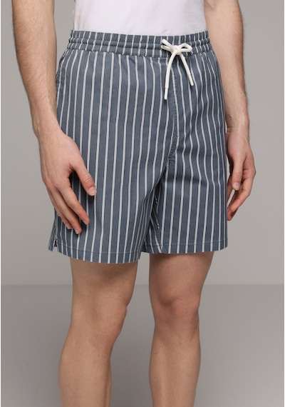 Colin's Colins Regular Fit Çizgili Erkek Mavi Deniz Şortu Cl1081039 Q1.v1 Inv İndigo
