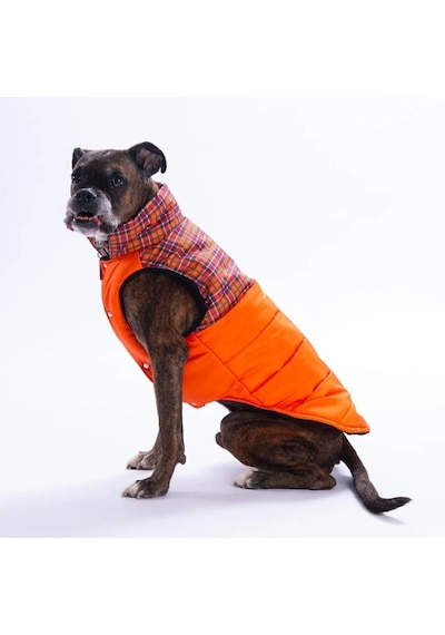 Pawstar Turuncu Elgin Paws Su İtici Orta-büyük Irk Köpek Puf Yelek Yağmurluk