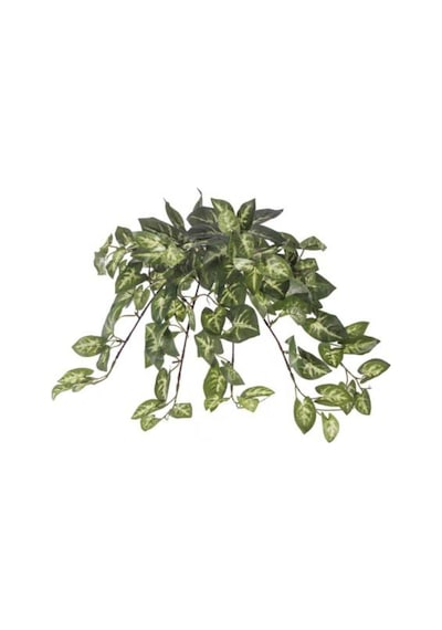 Euro Flora Yapay Sarmaşık Sygonıum Demet 42 Cm (540405787)