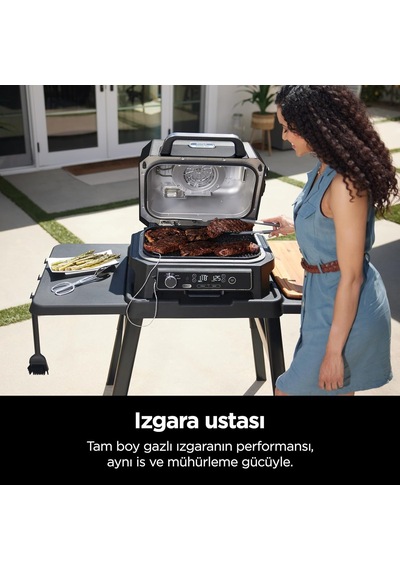 Woodfire Pro Xl Electric Bbq Grill & Smoker Og850eu Çok Renkli