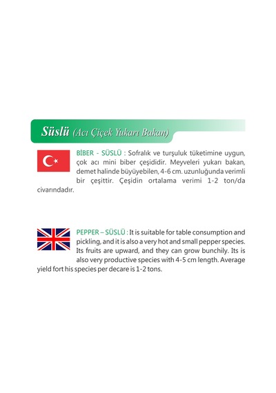 AGRodal Tarım Ata Tohumu Yerli Doğal Süslü Biberi 500 Adet Tohum