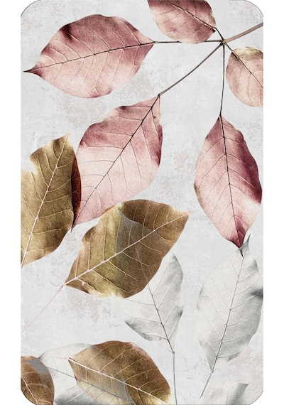 Rovigo Home Baskılı Kaymaz Taban 2 Li Banyo Paspas Takım Rvg5212-100X60-60X50 Çok Renkli