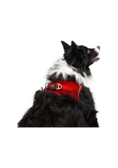 Air-Mesh Küçük ve Orta Irk Kedi Köpek Göğüs Tasması - Yumuşak, Nefes Alabilir, Dayanıklı KIRMIZI XS