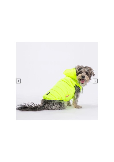 Stupid Yeşil Nakışlı Şirin Köpek Kıyafeti