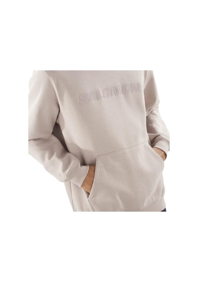 Salomon Salomon Bıg Logo Hoodıe M 55112 Çok Renkli