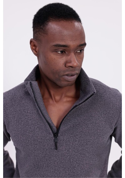 Freemen Erkek Fit Dik Yaka Yarım Fermuarlı Sweatshirt Polar Mor