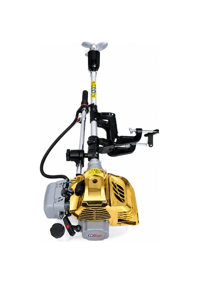 Roys Gold Renk Pro Tekne Ve Bot Motoru 2 Zamanlı