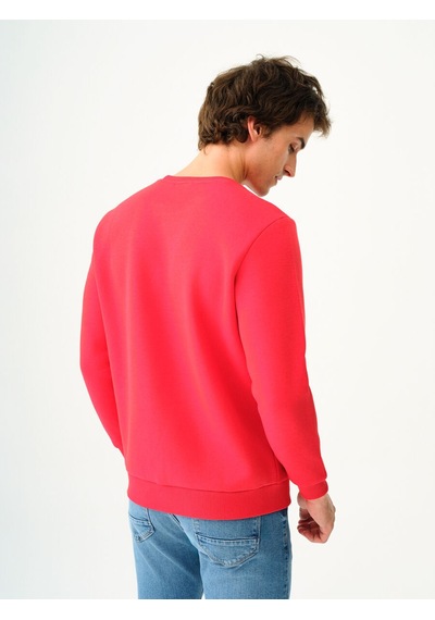 Loft Regular Fit Erkek Sweatshirt Çok Renkli