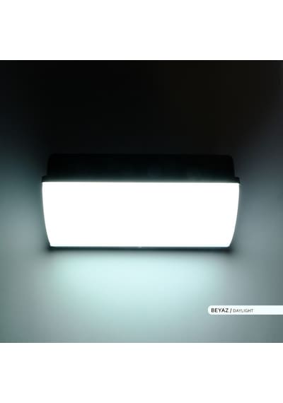 ACK 30W LED Duvar Armatürü 6500K Beyaz Işık Dekoratif Dış Mekan B Beyaz