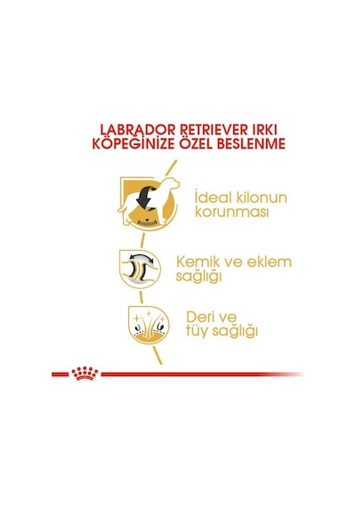 Royal Canin Labrador Retreiver Yetişkin Köpek Maması 12 KG