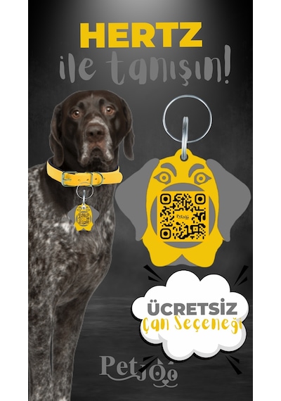 Petjoo 26.Hertz Gri-Sarı Qr'lı Köpek Künyesi