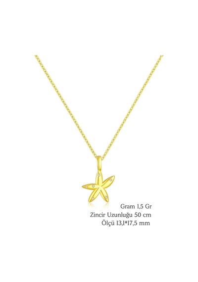 Seastar Işıltılı Yıldız Minimal Kadın Gümüş Kolye Altın