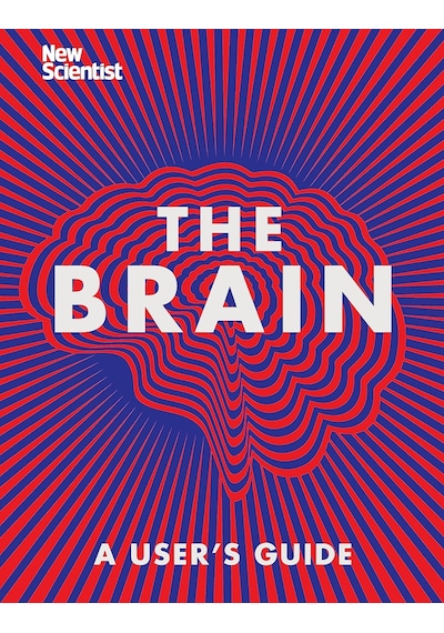 The Brain: Everything You Need To Know
