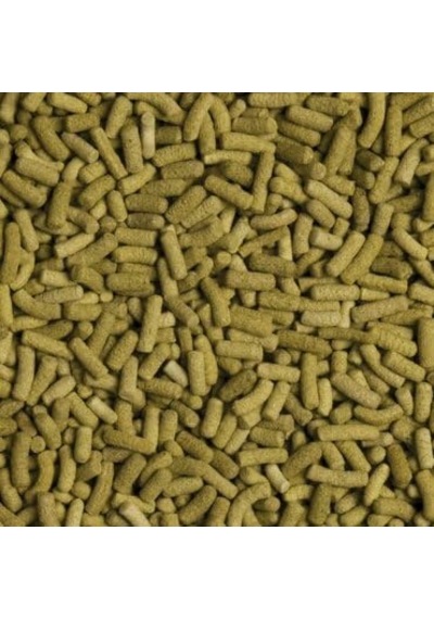 Biorept L Kaplumbağa Yemi 250 Ml
