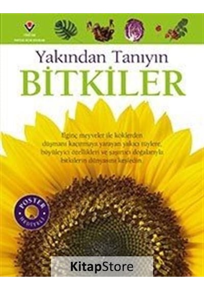 Bitkiler - Yakından Tanıyın / David Burnie