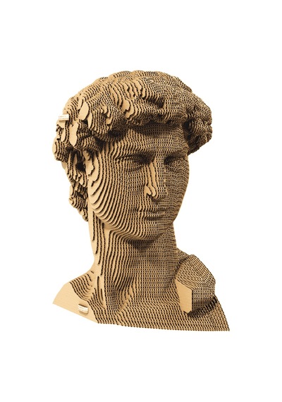 Cartonic 3d Puzzle - Davıd