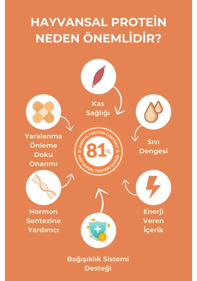 Petline Sensitive Skin & Coat Deri ve Tüy Sağlığı İçin Somonlu Yetişkin Kuru Köpek Maması 2 x 12 KG