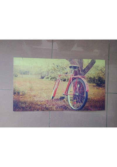 Dijital Baskılı Kapı Önü Daire Paspası Kauçuk Tabanlı 39*69 Cm A2