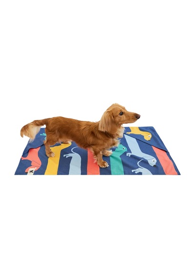 Dock And Bay Köpek Havlusu Design M Go Long