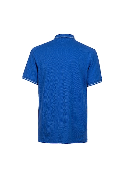 Arena Team Solid Cotton Unisex Mavi Günlük Stil Polo T-shirt 004901800