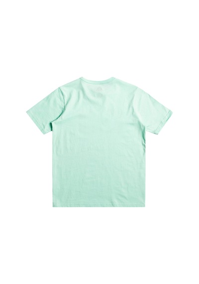Quiksilver Cırcledlıne B Tees Turkuaz Mint