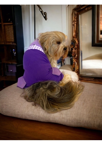 Kemique Chique Purple Panda Tulum Köpek Kıyafeti