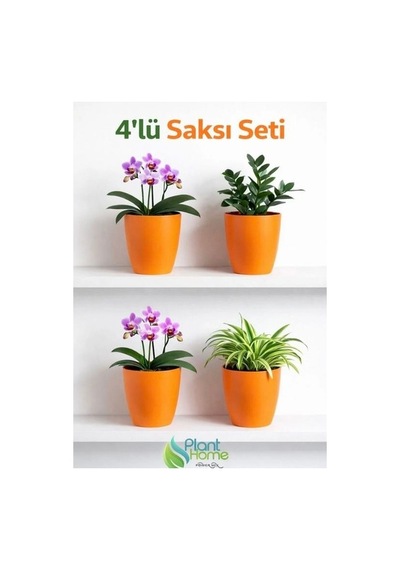 Dekoratif Turıncu Orkide Saksısı - 4 Adet Set   - 12 Pot Üretim Saksısına Uygun Kaliteli Ürün