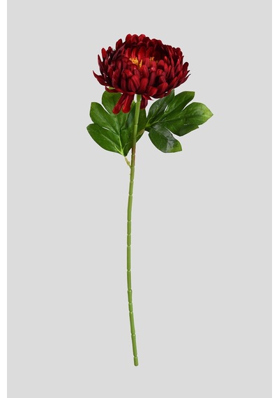 Kırmızı Yapay Kasımpatı Çiçeği Tek Dal Lüx İpeksi Dokulu 55 Cm