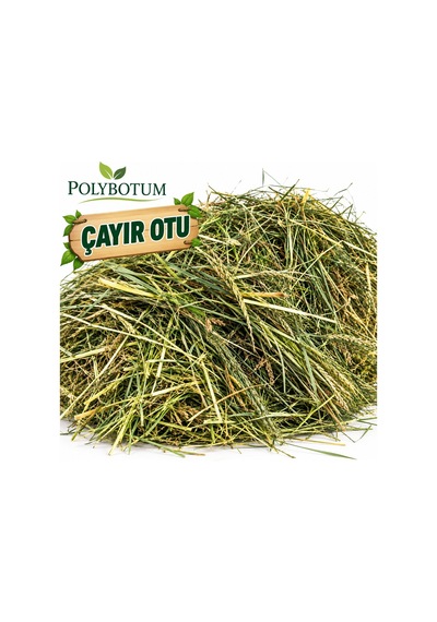 Polybotum Doğal Çayır Otu Tavşan Yemi 1000 Gr Guinea Pig, Hamster Ve Kemirgenler İçin Kurutulmuş
