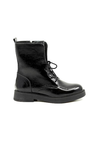 Dexter Tp8203-61 Çok Renkli