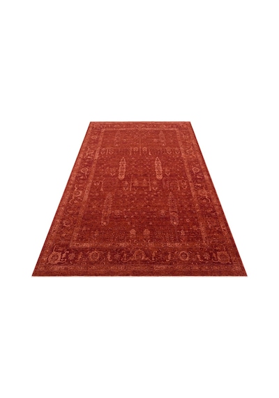 Shiraz Shr 03 Red Vintage Eskitme Tarzı Yumuşak Dokulu Salon Halısı Oturma Odası Halısı Kırmızı