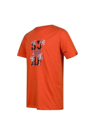 2as Alex Baskılı Erkek Sıfır Yaka T-shirt 047 TURUNCU