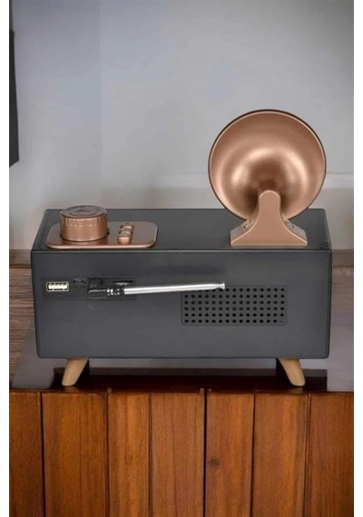 Znv Zenvia Mey İthalat Nostaljik Görünümlü Bluetooth Bağlantılı Speaker Znv2025 Cmn
