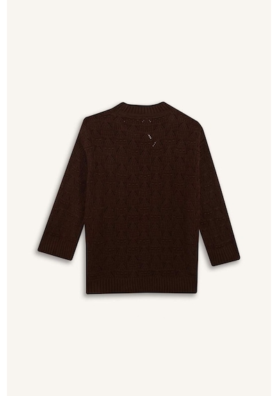 Defacto Regular Fit Bisiklet Yaka Ajurlu Triko Tunik G0710ax25wnbn330 Kahve-bn330