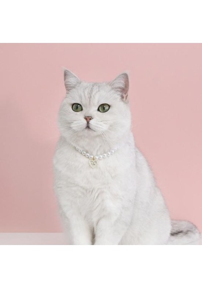 Kırmızı Göz Alıcı Nefis Pet Kedi Köpek Kiraz Kolye Sahte İnci Yaka Pet Kaynağı S