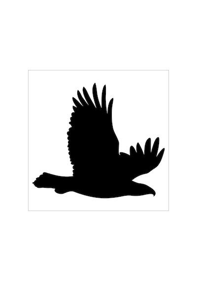 Kartal Folyo Sticker Derstv748 50cm Uzunluk Siyah