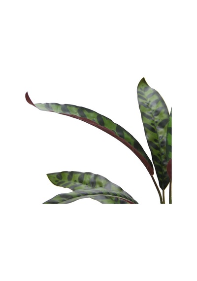 Yapay Kalatya Bitkisi 45 Cm-9968