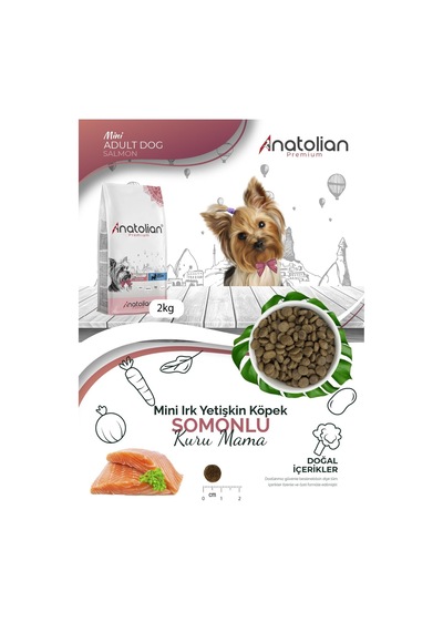 Anatolian Premium Somonlu Küçük Irk Yetişkin Köpek Maması 2 x 2 KG