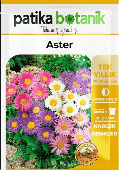 Patika Botanik 50 Adet Aster Çiçeği Tohumu
