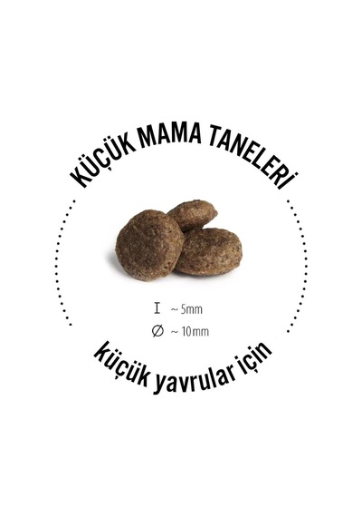 Happy Dog Mini İrland Somonlu Hassas Yetişkin Köpek Maması 4 KG