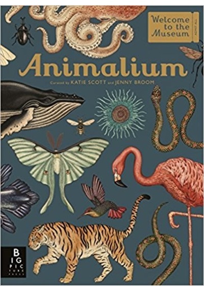 Animalium (Welcome To The Museum) - Jenny Broom - Kings Road Publishing