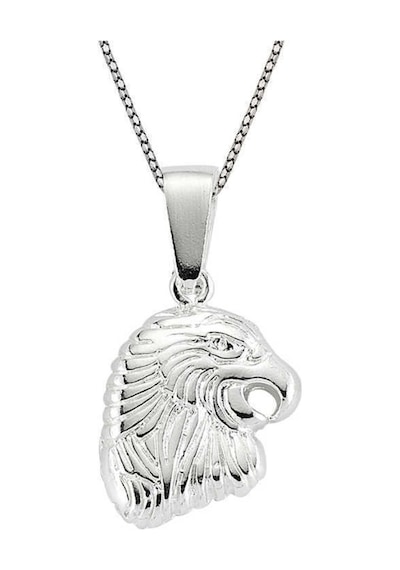 Gümüş Kartal Erkek Kolye (77920058)