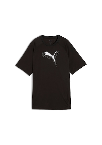 Puma Evostrıpe Graphic Tee Kadın Yetişkin T-shirt SIYAH