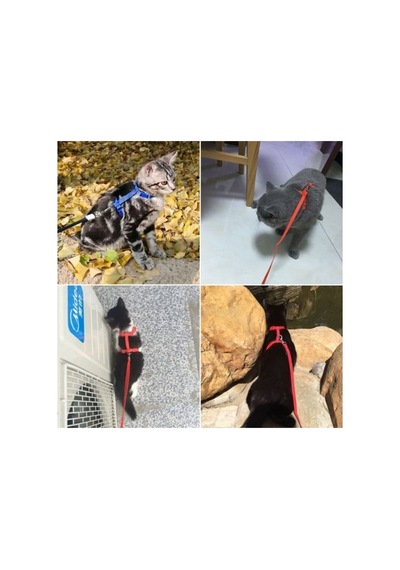 120 Cm Ayarlanabilir Kedi Göğüs Tasması