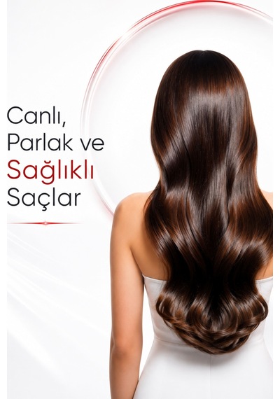 Agarta Yıpranmış Saçlar İçin Yenileyici Reishi Yapılandıricı Şampuan 400 ML