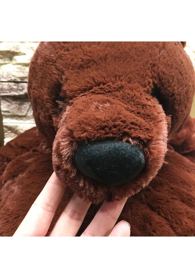Kahverengi Ayı Peluş Oyuncak Kahverengi